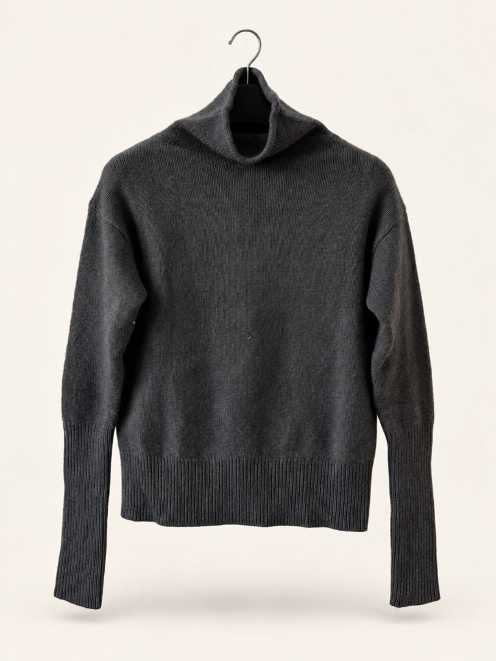 WILFRED | Turtleneck Sweater 2XS